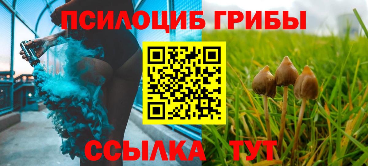 Псилоцибиновые грибы прущие грибы  Вход с VPN  Азнакаево 